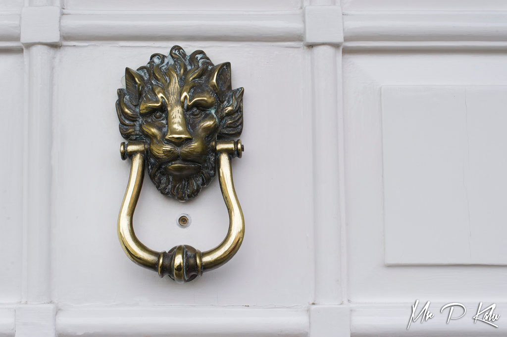 Lionfrontdoorknocker Mr P Kalu