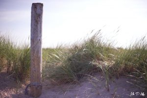 Sand-dunes-Northumberland-MrPKalu