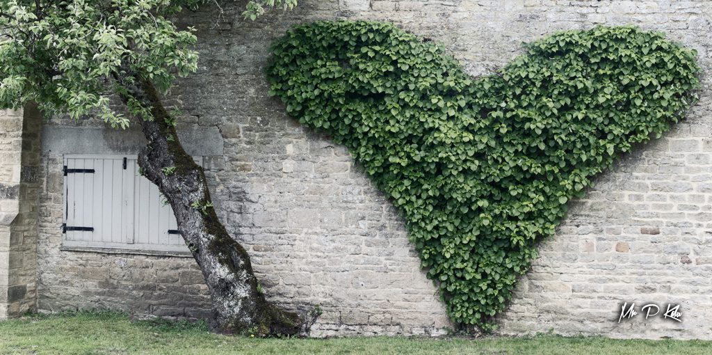 Heart Topiary in Oxfordshire Cotswolds – Mr P Kalu