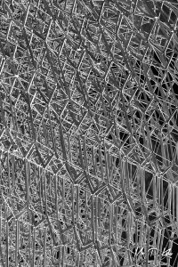 Black and white image of the intricate lattice work of steel making up the Hive, Royal Botanic Gardens, Kew