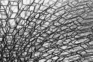 The intricate lattice work on display inside the Hive installation