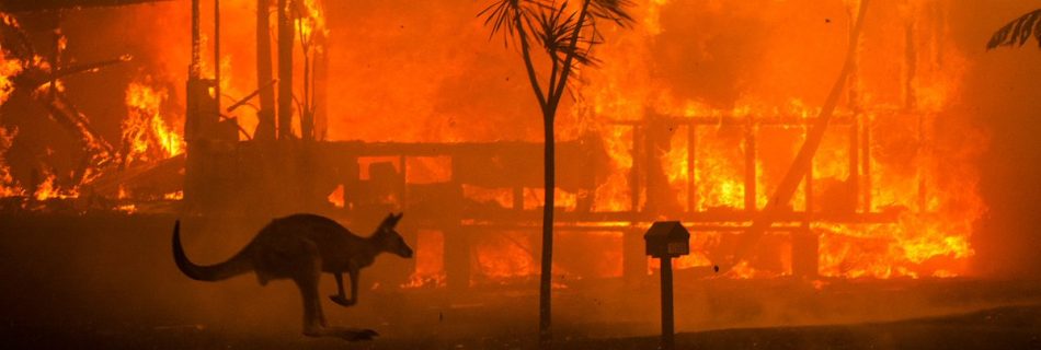 Matthew Abbott image from Australian bushfires