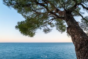 Image of Cliffside view of the Mediterranean Sea from the Oceanographic Museum of Monaco by Mr P Kalu