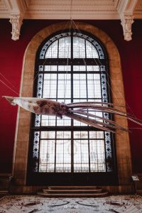 Image of the Squid installation at the Musée Océanographique in Monaco, Côte d'Azur by Mr P Kalu