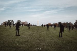 Image of art installation 'Standing with Giants' in Oxfordhsire in memory of The Unknown Soldier for The Royal British Legion, paying respects to our fallen heroes this Remembrance Day