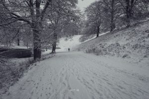 Runner in the grounds of Blenheim Palace covered in the snow of 24 January 2021