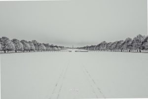 View of Blenheim Palace's Column of Victory under the snow of 24th January snowstorm viewed from the Ditchley Gate